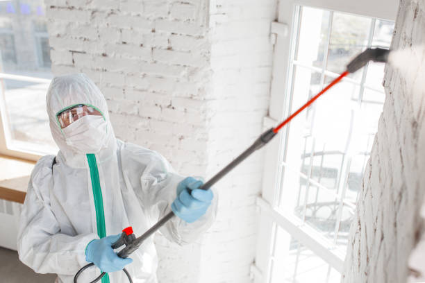 Professional Mold Removal in Sanibel, FL
