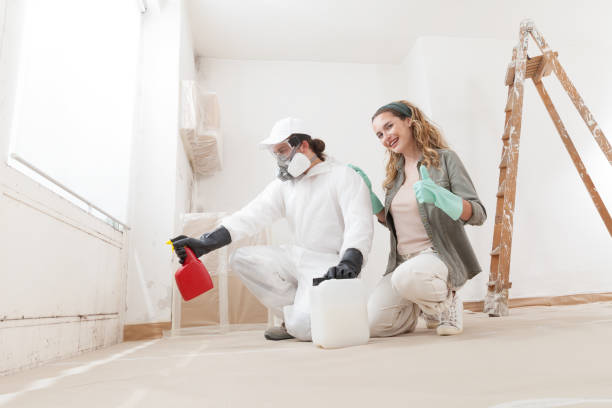 Best Mold Removal for HVAC Installations  in Sanibel, FL